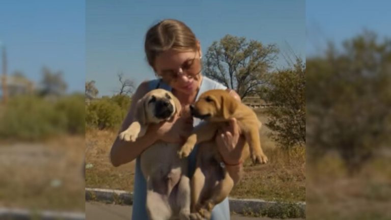 young woman holding puppies