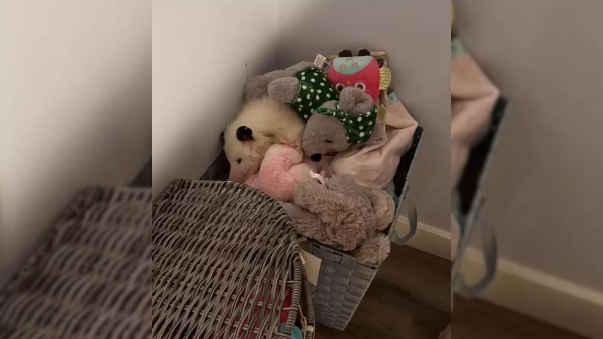 Woman Noticed A Stuffed Animal Moving And Was Shocked When She Realized What Was There