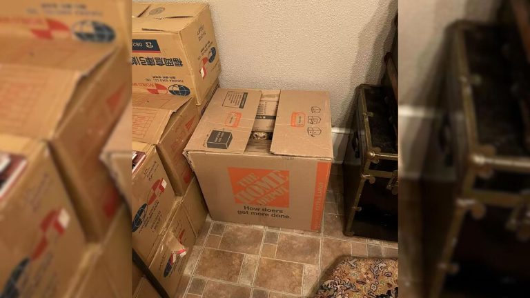 card boxes in the house