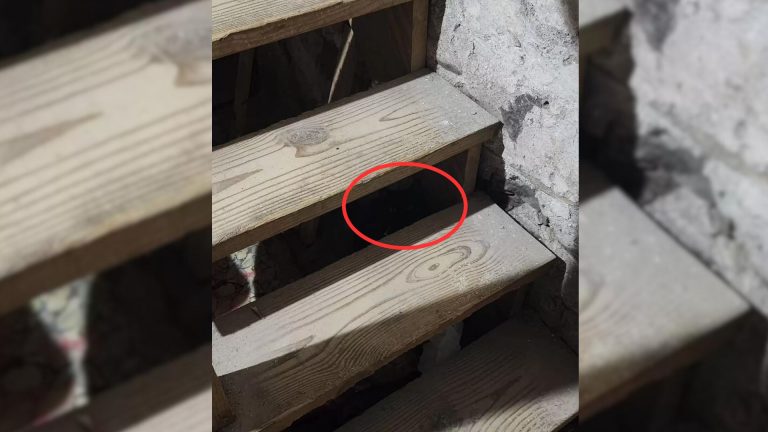 glowing eyes in stairs