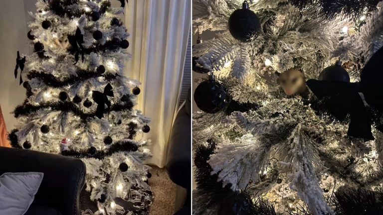 woman found the ornament in tree
