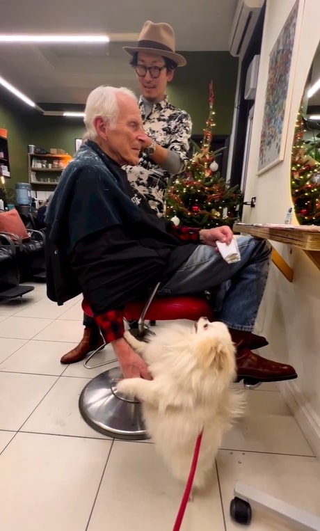 a dog next to a man while he is getting his hair cut