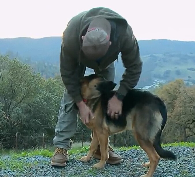 a man petting a German shepherd