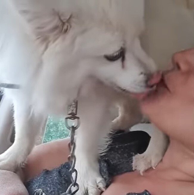 a white dog and a woman exchange caresses