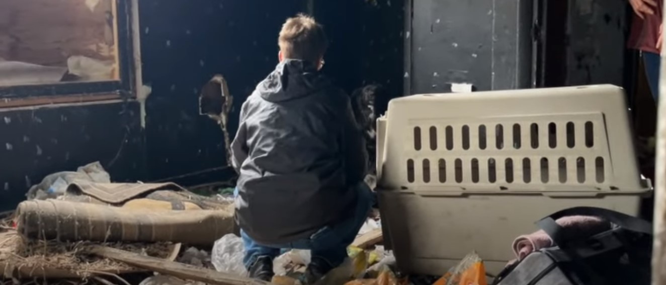 dog box and man