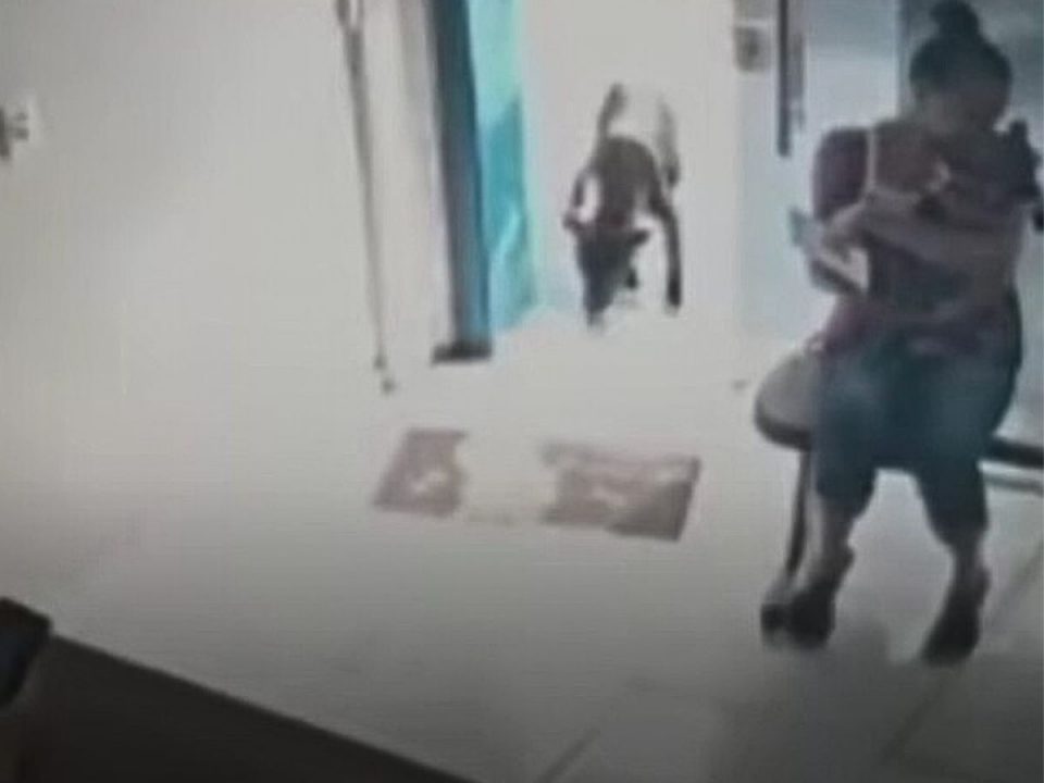 A Stray Dog Visited The Vet Clinic On His Own And That Was The Best Decision In His Life