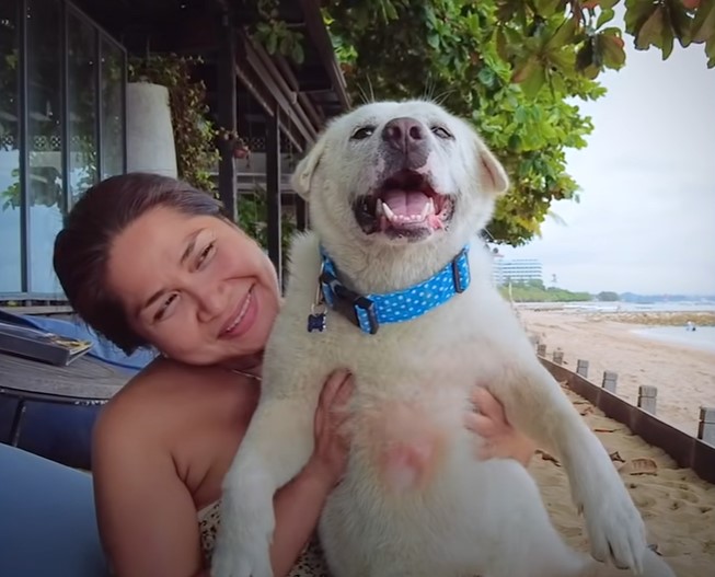 happy woman holding a smiling dog