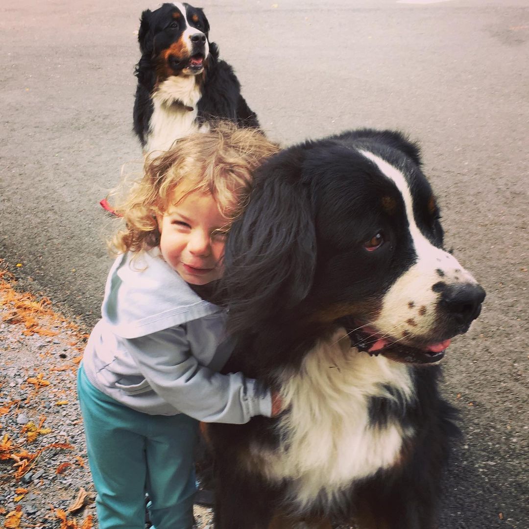 little girl hugging a giant dog