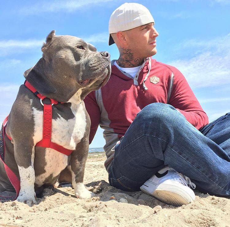 man with hat sitting with pittie on the beach