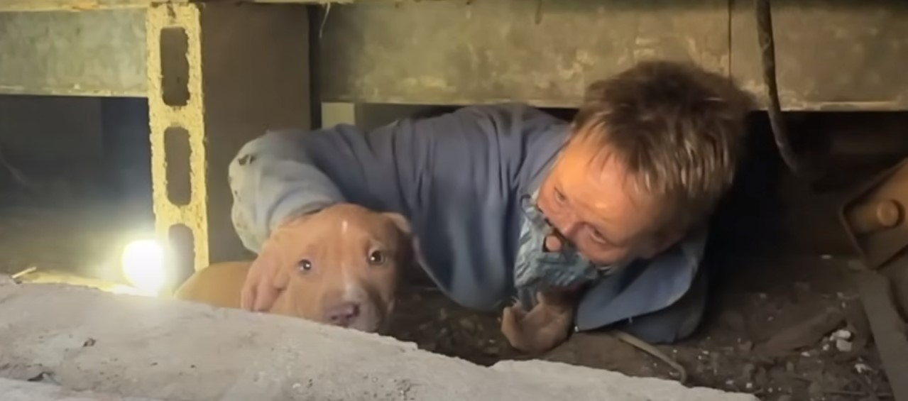 rescuer and a puppy
