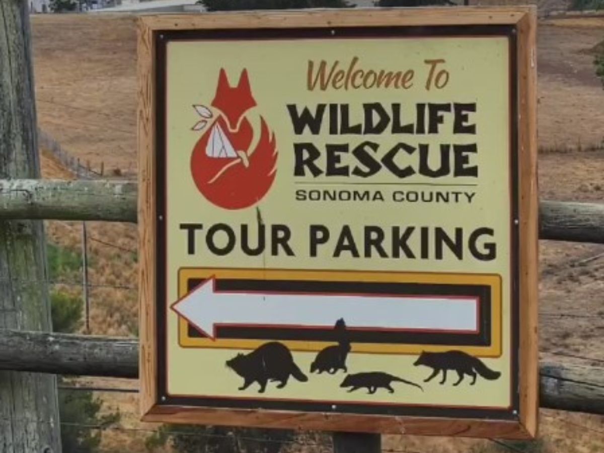 sign to wildlife rescue