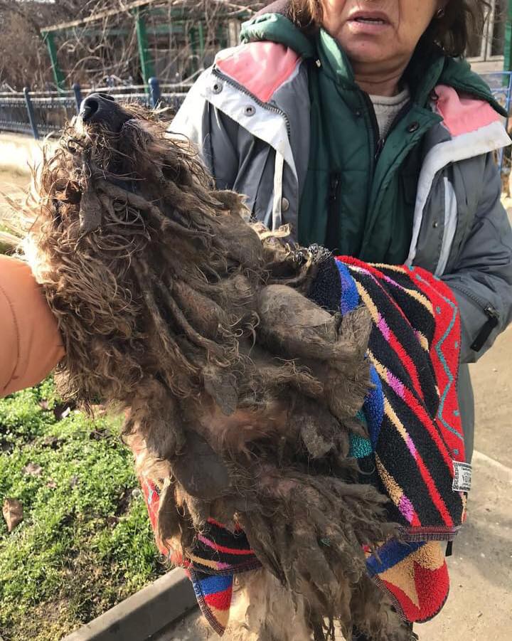 woman holding matted dog