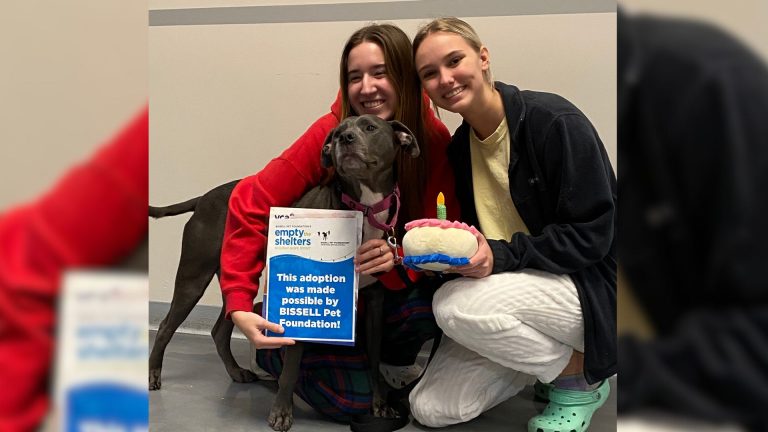 deaf dog and two girls