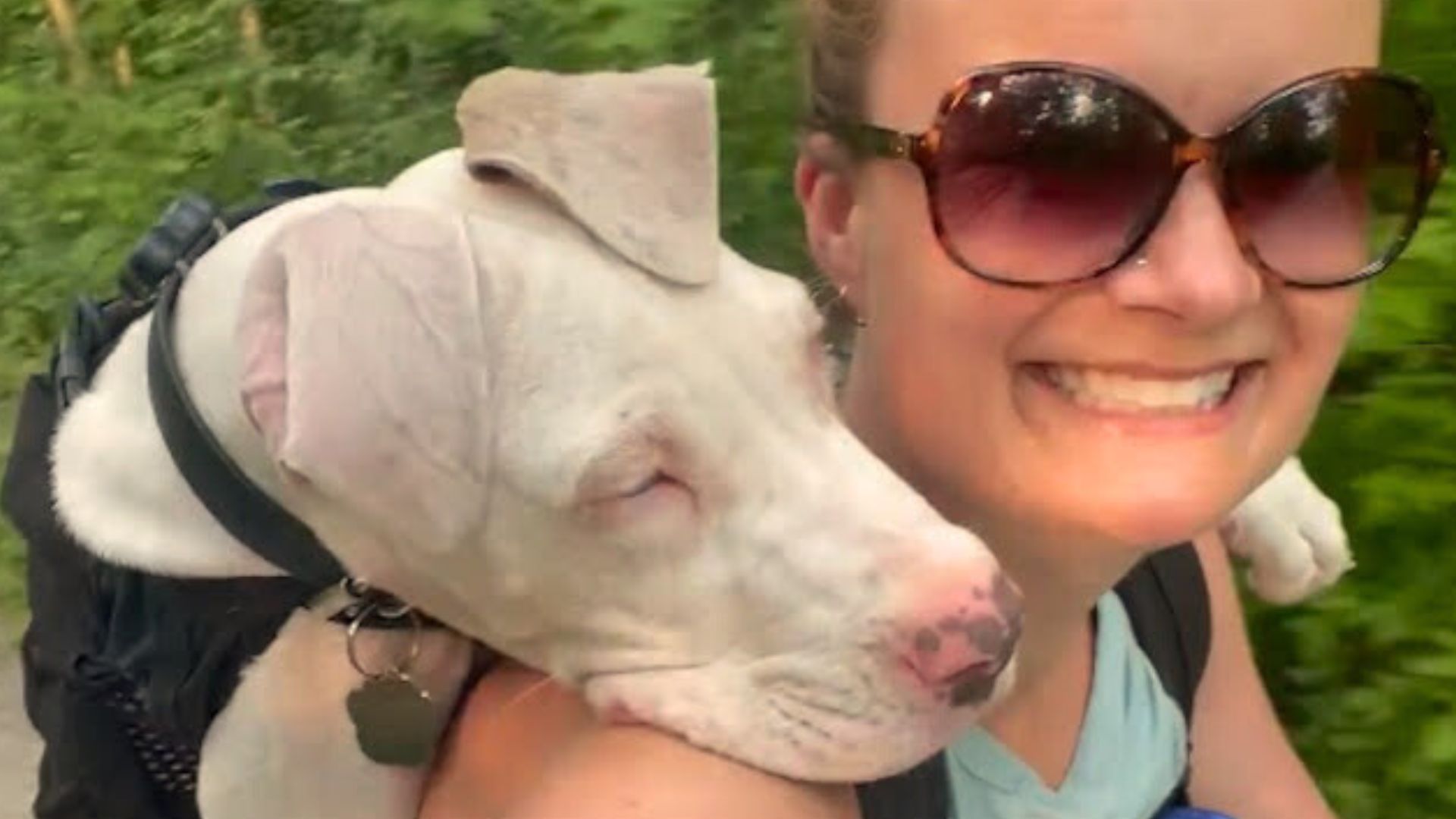 woman and white deaf dog