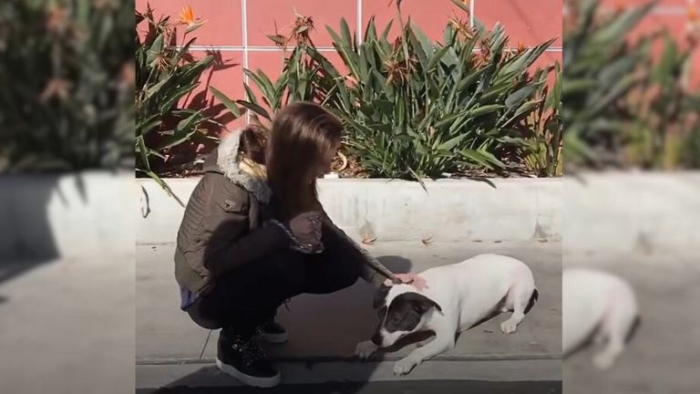 woman and dog on street