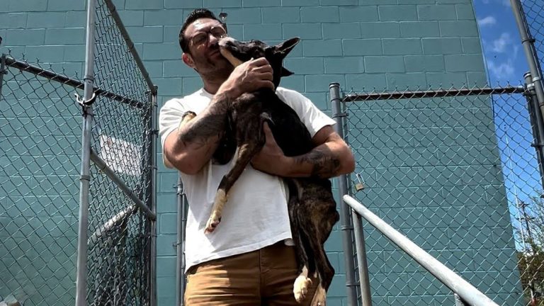 guy and his newly adopted dog