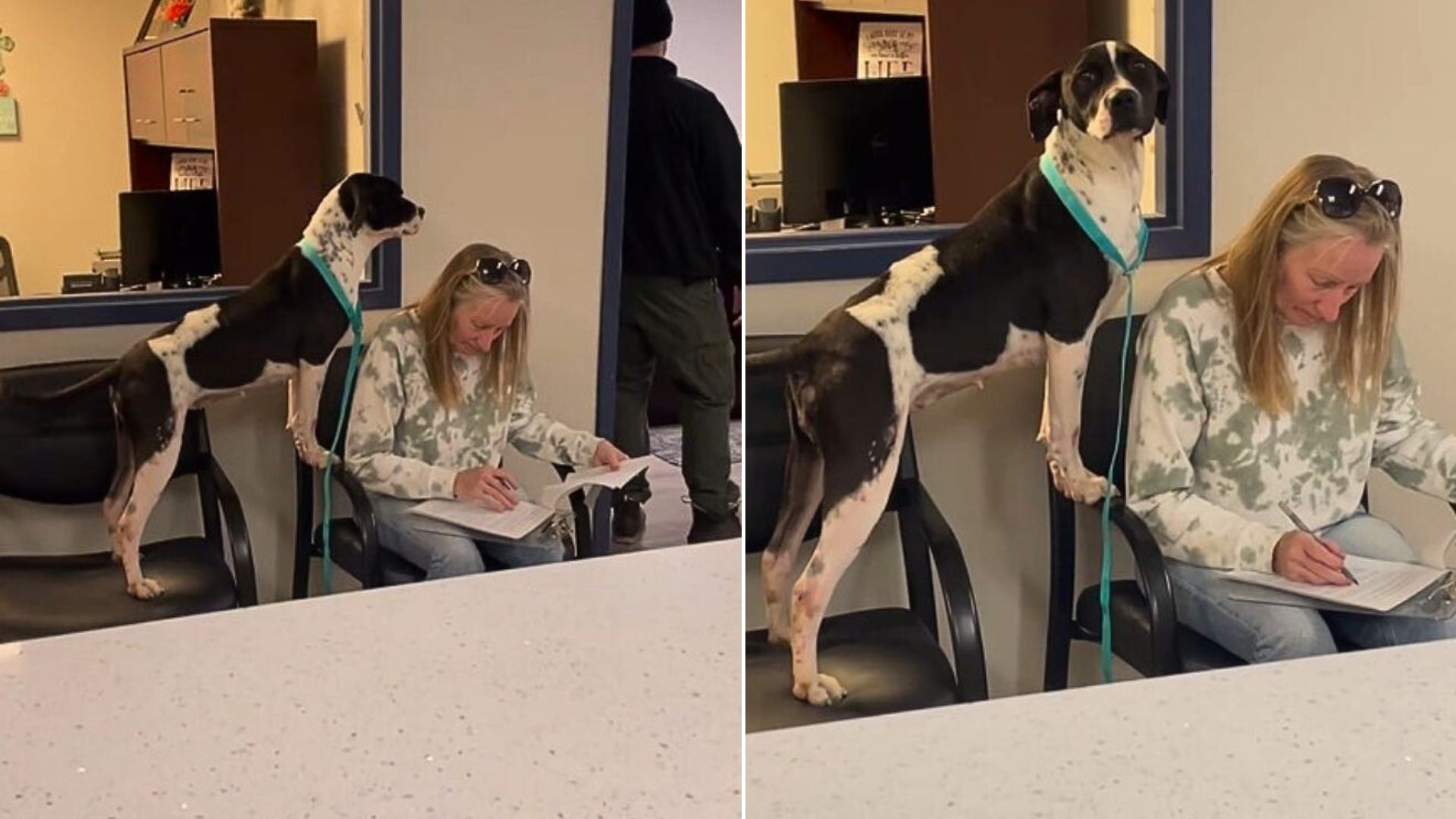 A Sweet Shelter Pup Was Bursting With Joy While Her New Mom Completed Her Adoption Paperwork