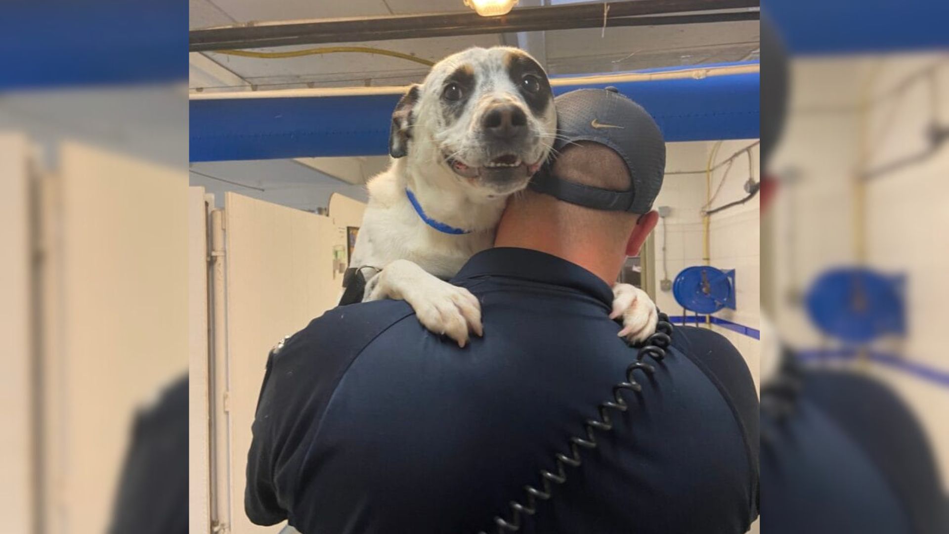 man holding a dog