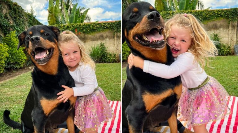 little girl hugging rottweiler