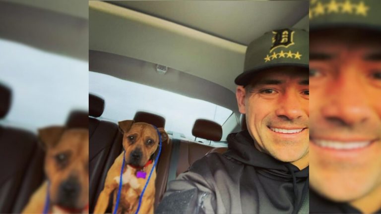 police officer and pit bull in a car