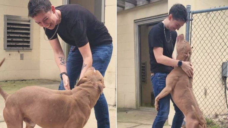 guy and his dog