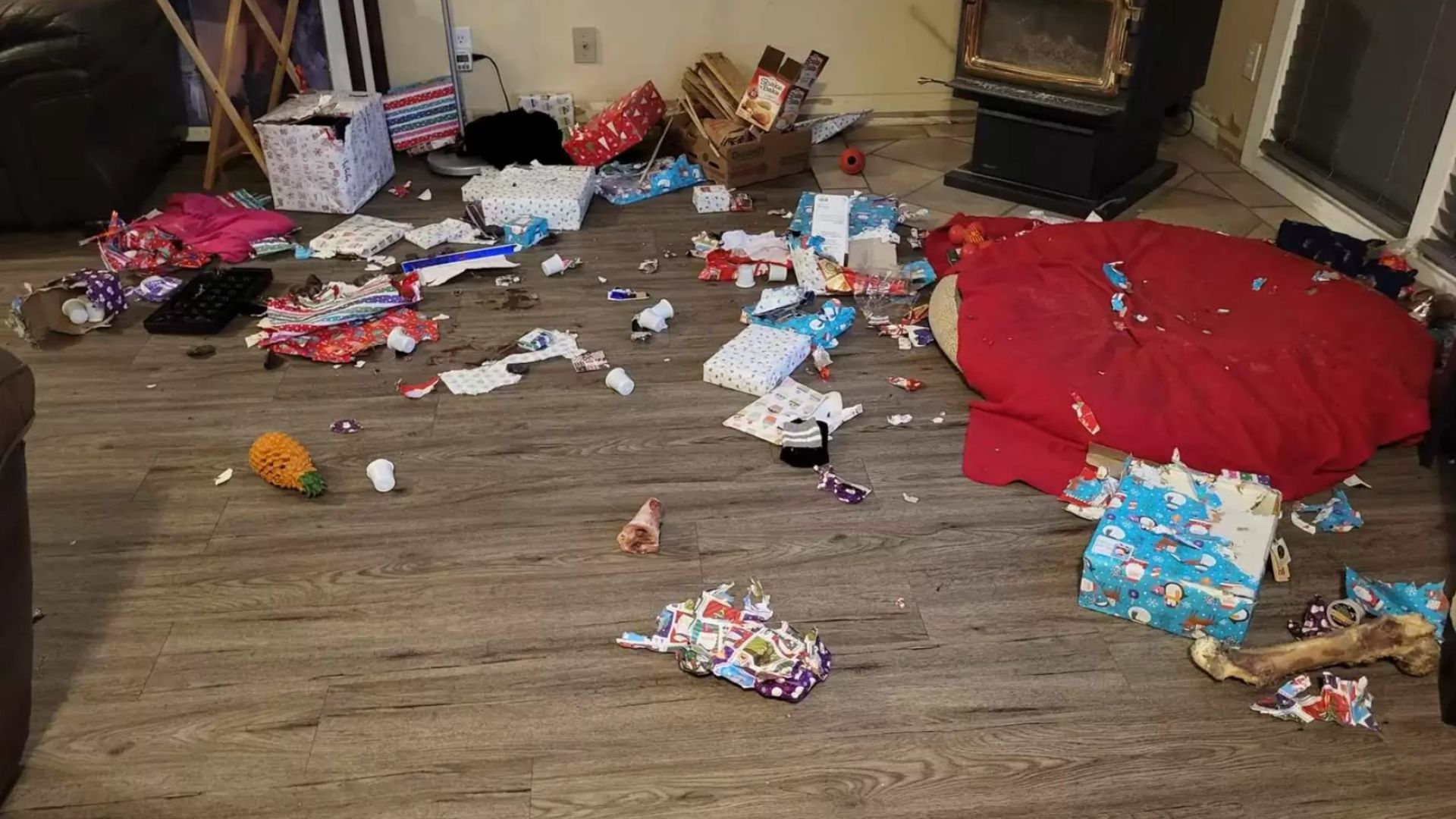 Family Shocked When They Realized Somebody Opened Their Christmas Presents Before Them  