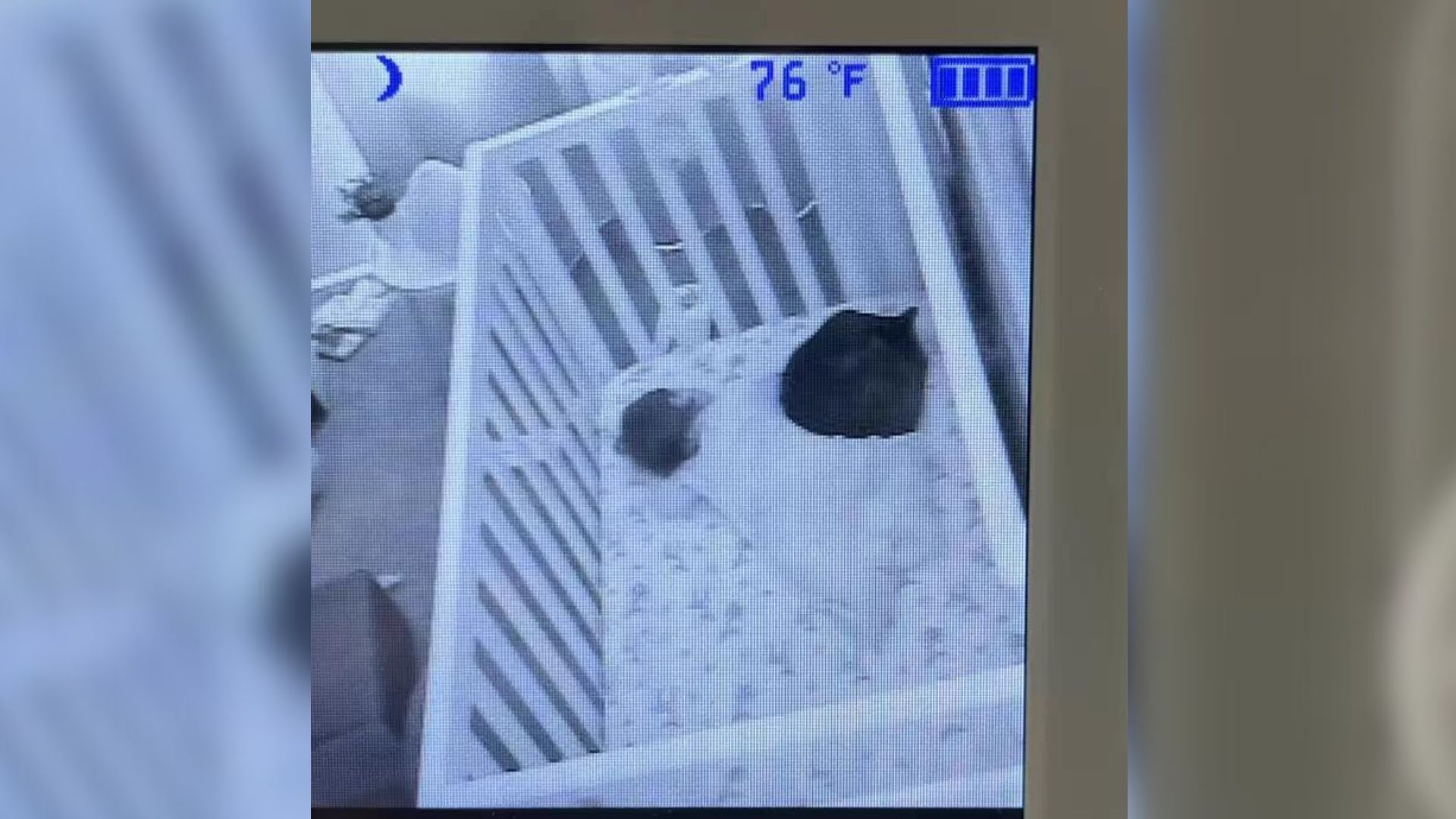 black lump in kid's crib