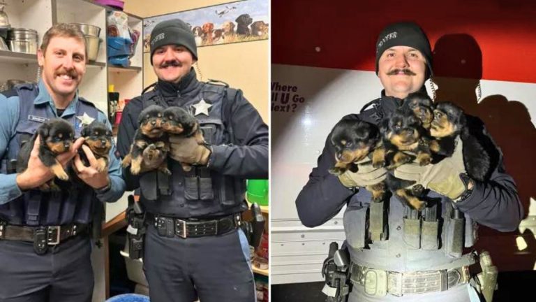 officers and abandoned puppies