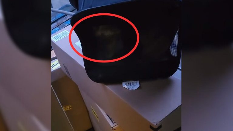 mystery package