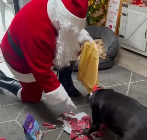 Santa feeding dog