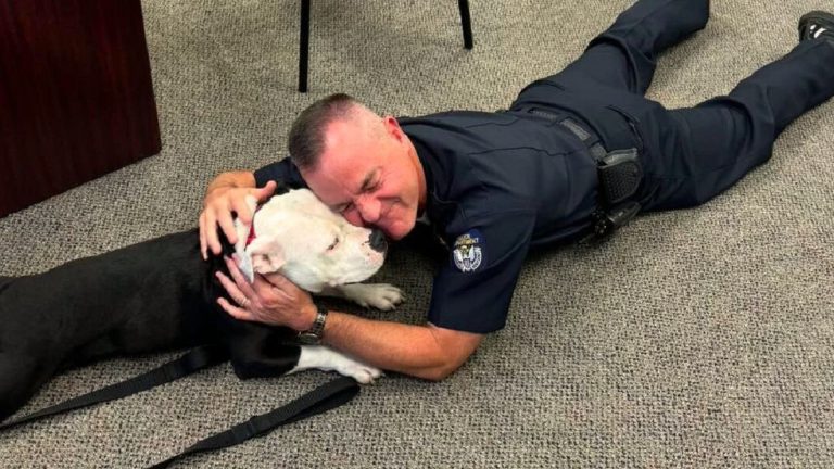 policeman and dog laying together