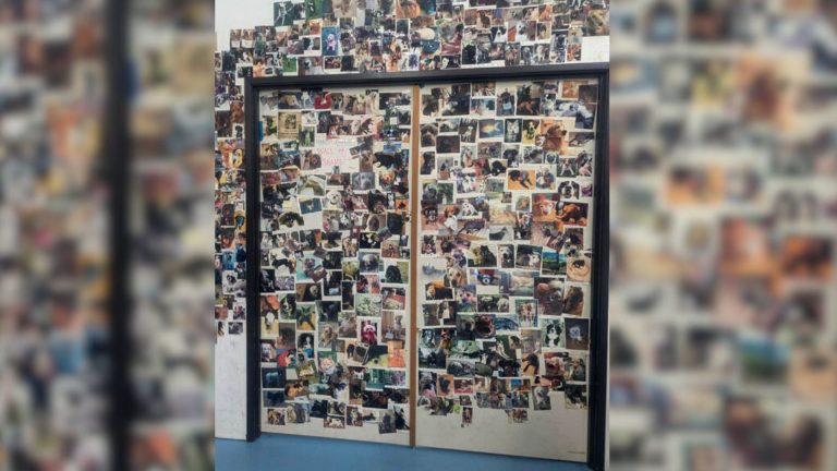 frame full of pictures of dog