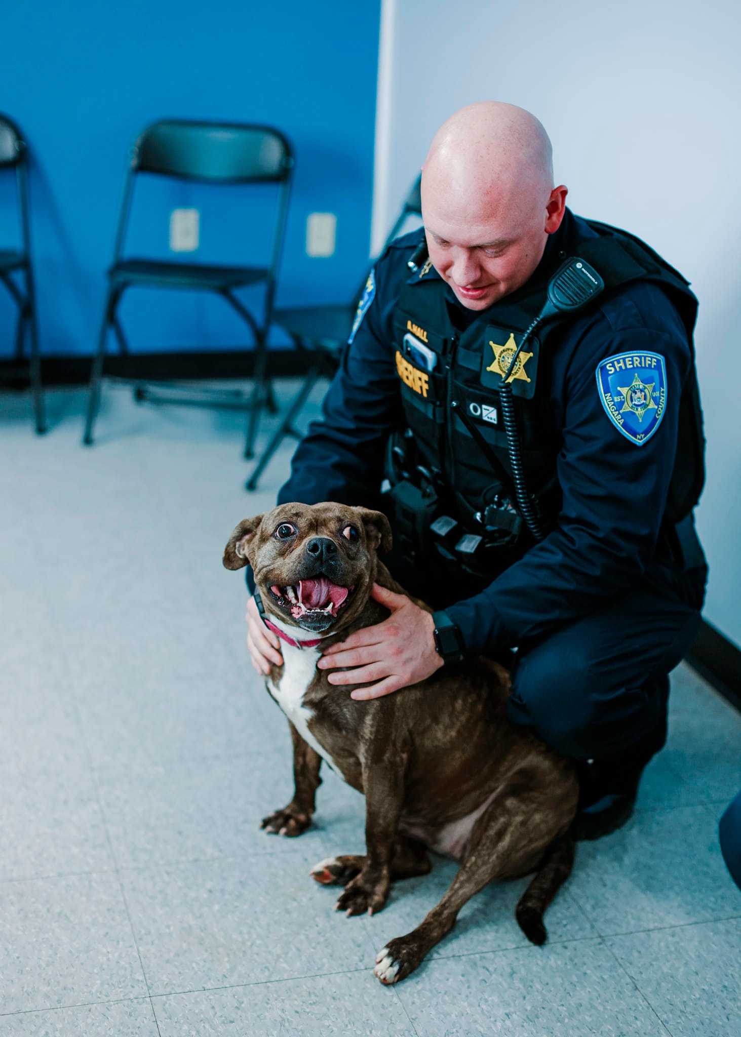 bald officer and dog