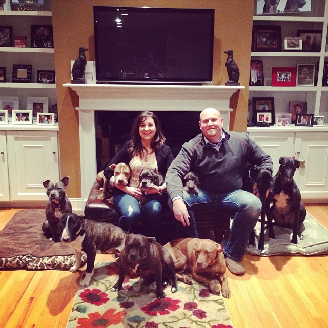 couple sitting in living room with senior dogs