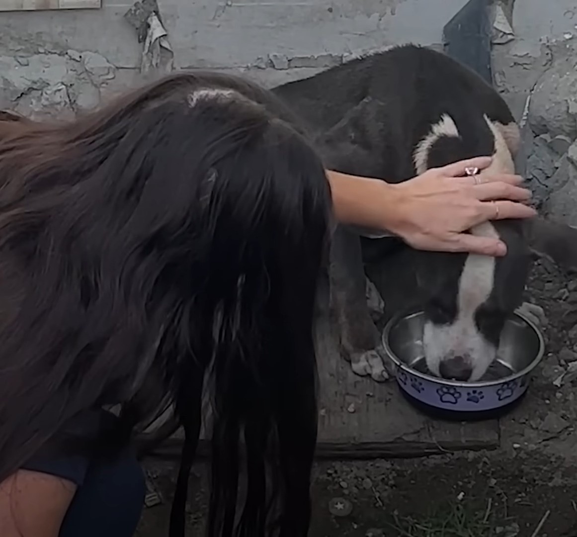 dog drinking water with woman next to him
