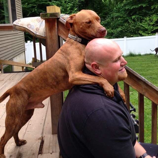 dog holding front paws on man's shoulders