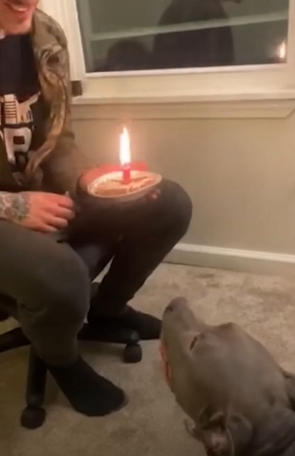 dog looking at candle in man's hands