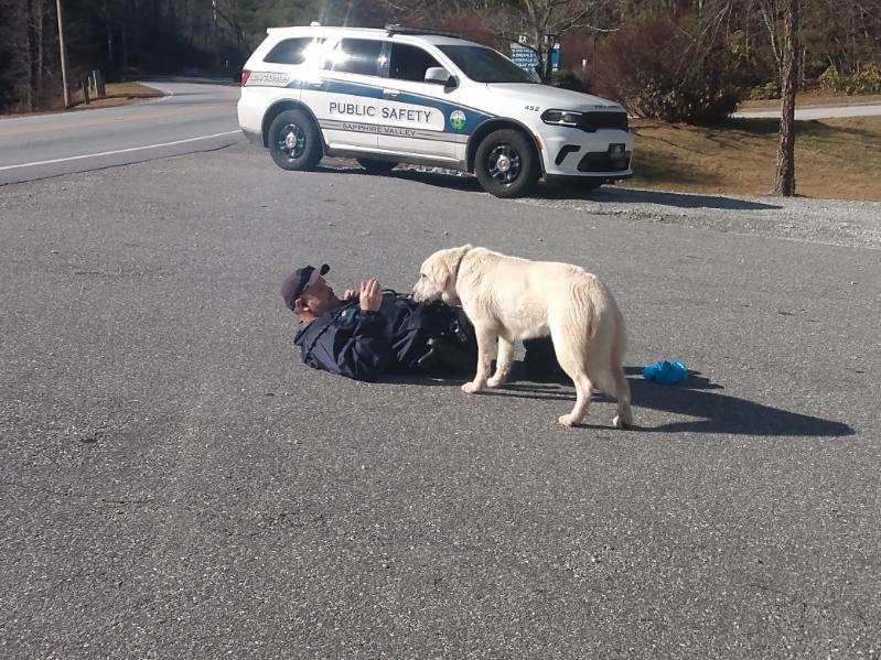 dog with police officer