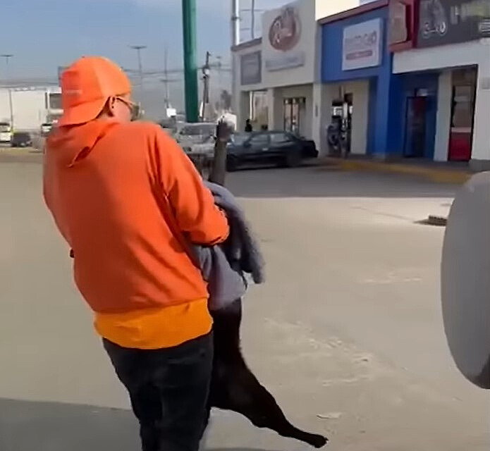guy in orange hoodie carrying a dog