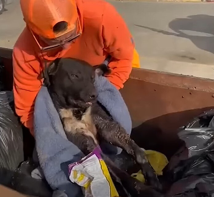 guy taking dog out of trash