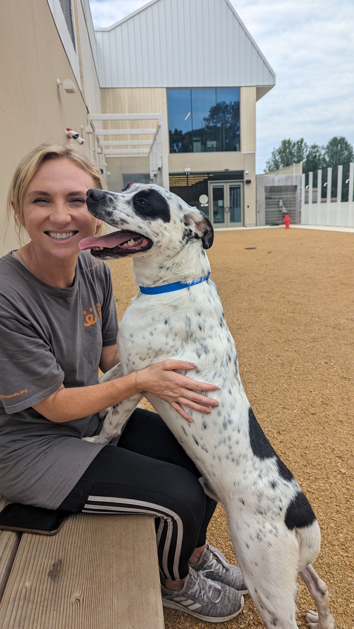 happy dog and woman sitting on the bench