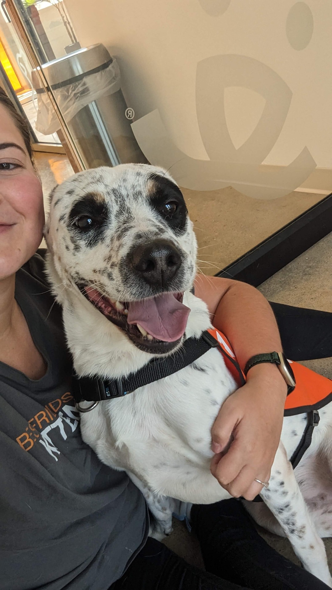 happy woman holding a dog