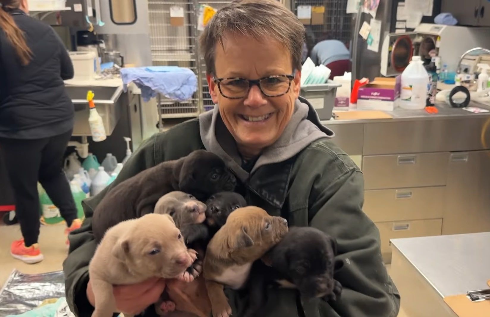 happy woman with bunch of puppies