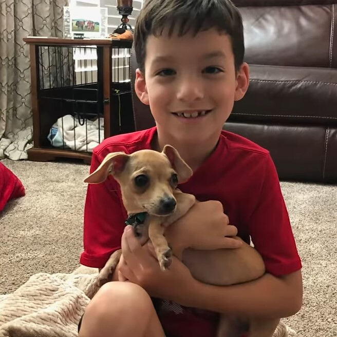 little boy holding a dog