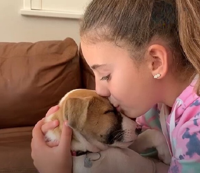 little girl and a puppy