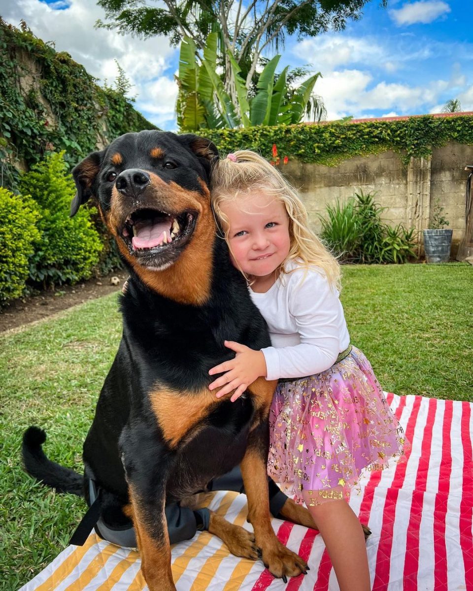Adorable Rottweiler Puppy Helps Little Girl Overcome The Loss Of Her ...