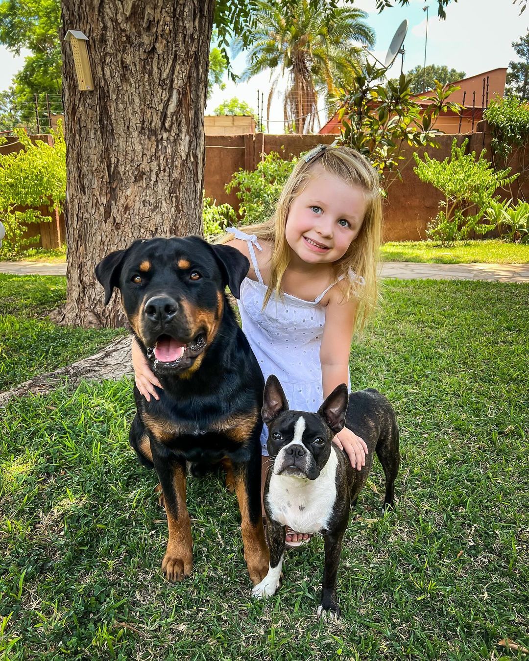 little girl with two dogs