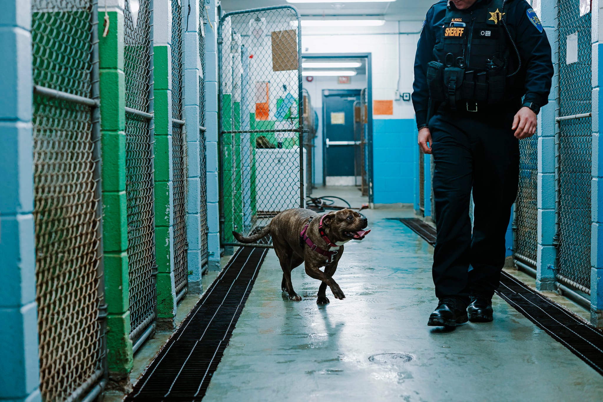 officer and dog walking through jail