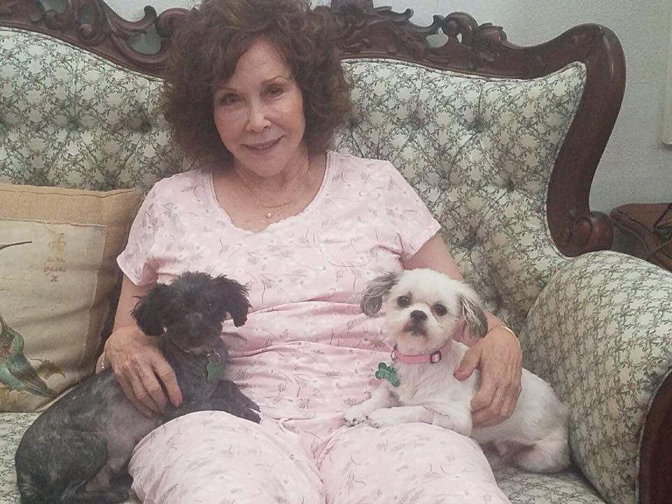 old woman and two dogs