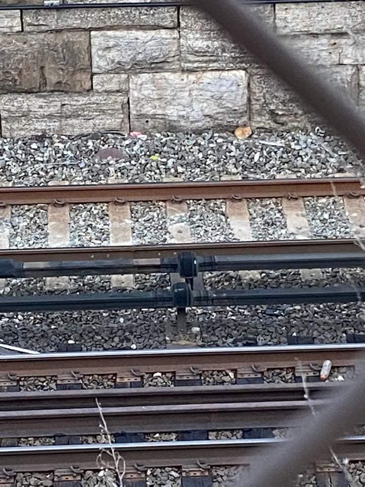 photo of train tracks